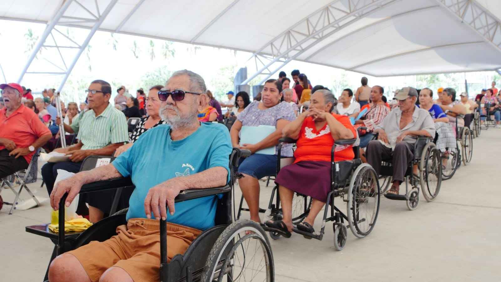 pensión bienestar discapacidad