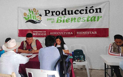 Ocho estados: Registro abierto para «Producción para el Bienestar»