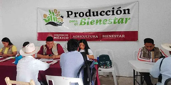 cuánto es el apoyo de producción para el bienestar