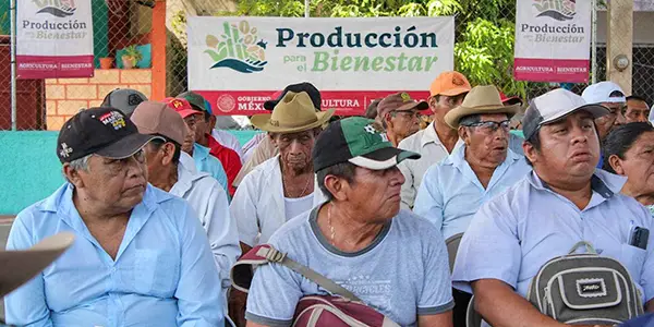 cuándo será el pago de producción para el bienestar