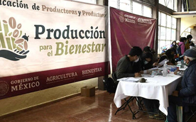 Fechas Clave para los Pagos del Programa Producción para el Bienestar