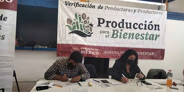 ¿Sabes Cuánto Dinero Podrías Obtener del Programa Producción para el Bienestar?