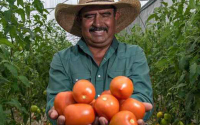 Programas para el Bienestar Benefician a Campesinos Mexicanos