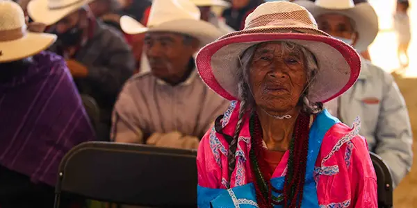 programas para el campo bienestar