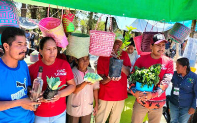 Producción para el Bienestar: apoyo técnico al campo