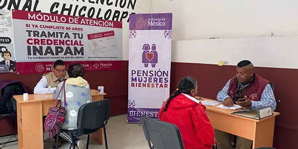 bienestar mujeres registro