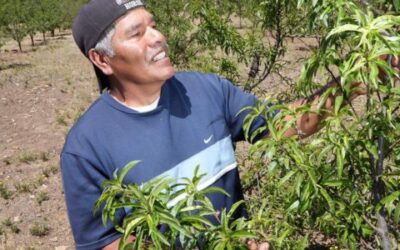 México invierte 54 mil mdp para autosuficiencia alimentaria