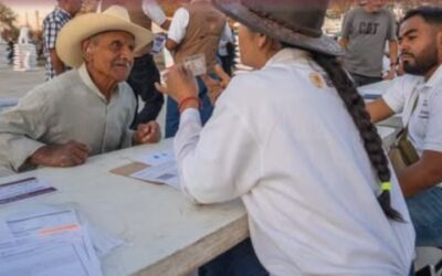 Fertilizantes Bienestar: Inicia registro gratuito