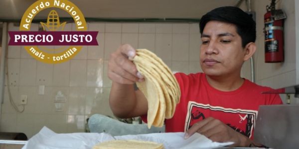 acuerdo nacional maíz tortilla