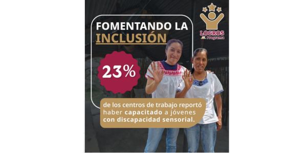 discapacidad e inclusión laboral