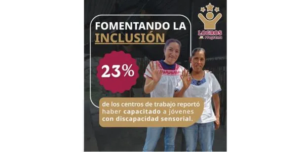 discapacidad e inclusión laboral