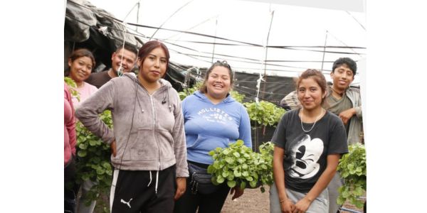 jóvenes construyendo el futuro