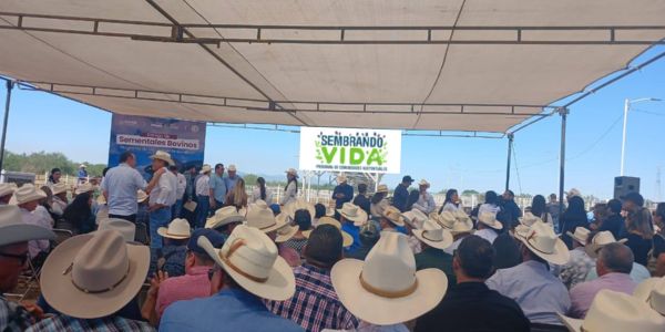 programas para el bienestar