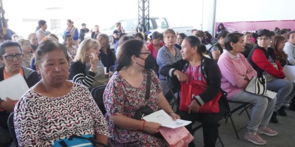 apoyo bienestar 60 y mas