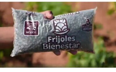 Frijoles Bienestar: precio justo del campo a tu mesa