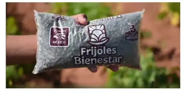 Frijoles Bienestar: precio justo del campo a tu mesa