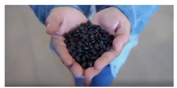 tiendas del bienestar