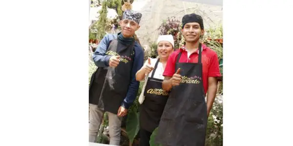 programa para jovenes que no estudian ni trabajan