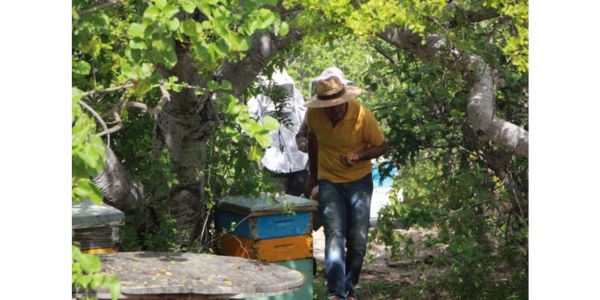 programas sociales del gobierno